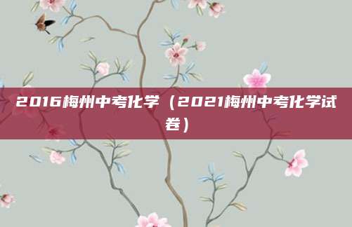 初二下期中测试卷考试，全面分析、备考建议及注意事项