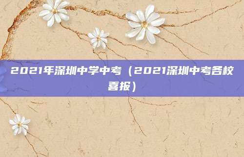 2023滨河中学录取分数线及解读，揭秘名校录取标准