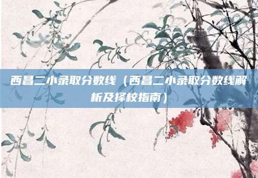 西昌二小录取分数线（西昌二小录取分数线解析及择校指南）