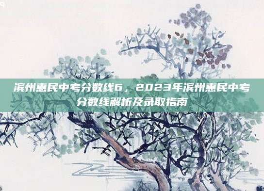 滨州惠民中考分数线6，2023年滨州惠民中考分数线解析及录取指南