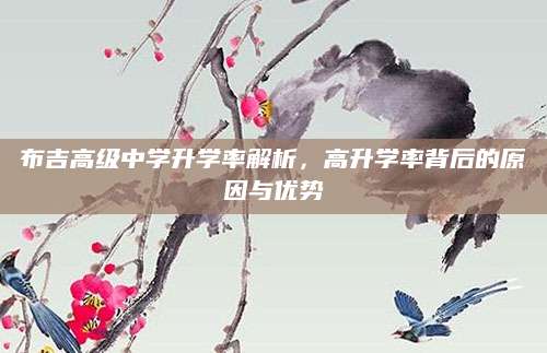 布吉高级中学升学率解析，高升学率背后的原因与优势