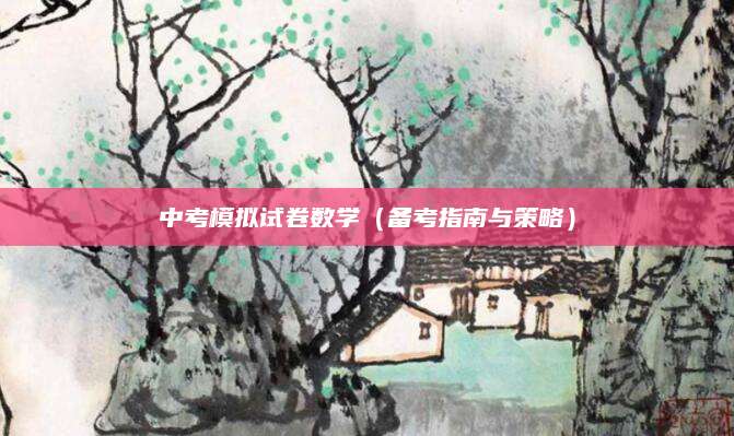 中考模拟试卷数学（备考指南与策略）