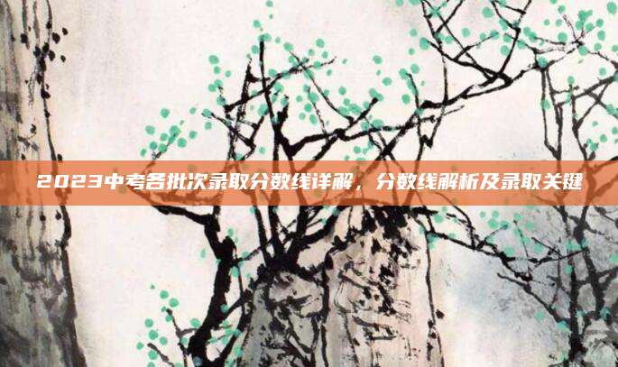 2023中考各批次录取分数线详解，分数线解析及录取关键