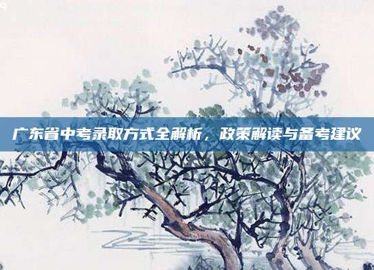 广东省中考录取方式全解析，政策解读与备考建议