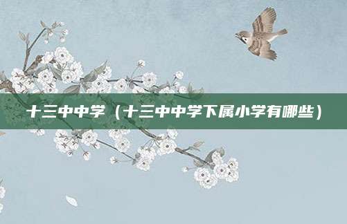 福建林业职业技术学院分数线（福建林业职业技术学院分数线分析与报考指南）