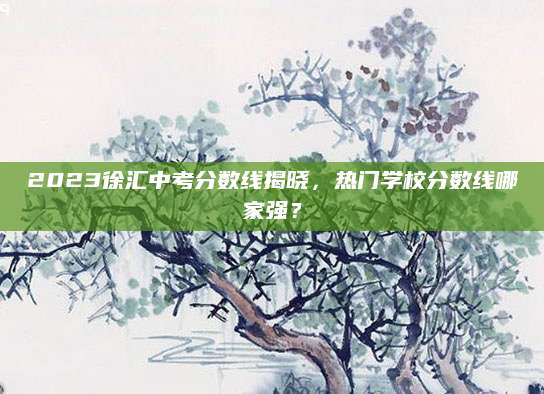 2023徐汇中考分数线揭晓，热门学校分数线哪家强？