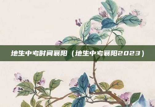 深度解析刘羽冲读书文言文答案，古文知识的学习与传承