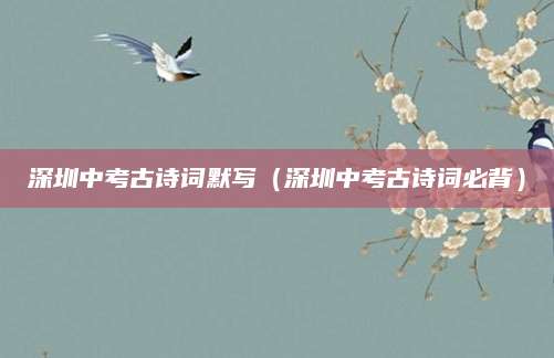 2023中考分数线罗庄揭晓，升学之路的精准指南