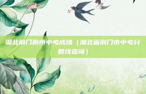 如何查询高考志愿录取分数线，实用指南与技巧分享
