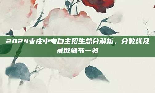 2024枣庄中考自主招生总分解析，分数线及录取细节一览