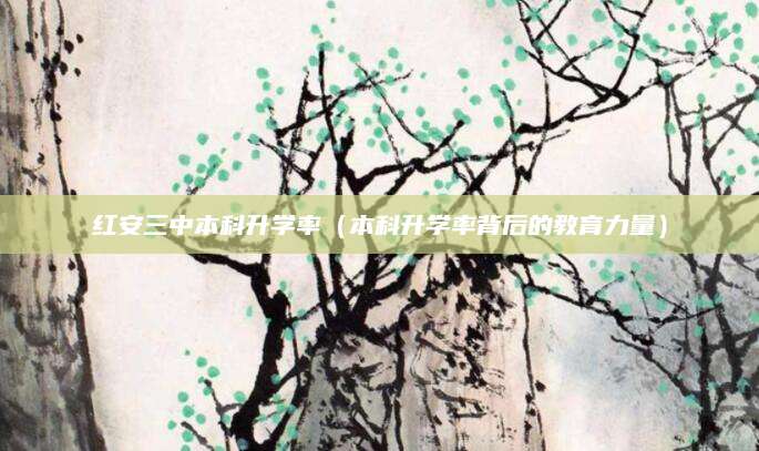红安三中本科升学率（本科升学率背后的教育力量）