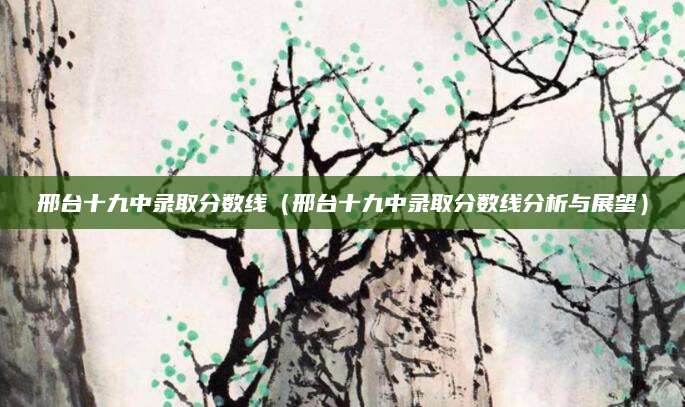 邢台十九中录取分数线（邢台十九中录取分数线分析与展望）