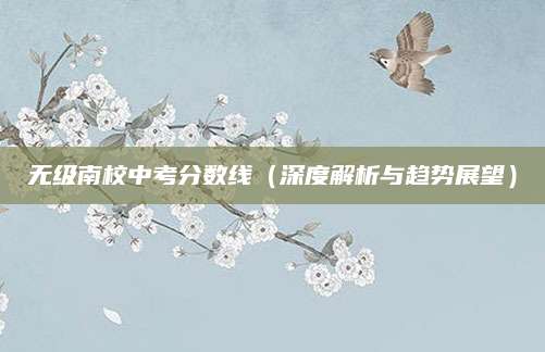 无级南校中考分数线（深度解析与趋势展望）