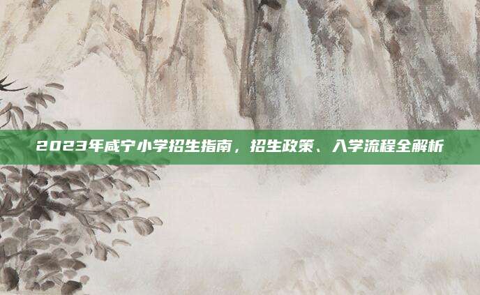 2023年咸宁小学招生指南，招生政策、入学流程全解析