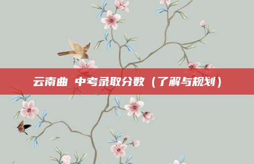 云南曲請中考录取分数（了解与规划）
