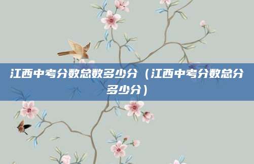 2013年海南中考录取（政策调整与录取分数线变化）