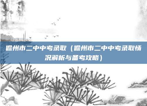 儋州市二中中考录取（儋州市二中中考录取情况解析与备考攻略）