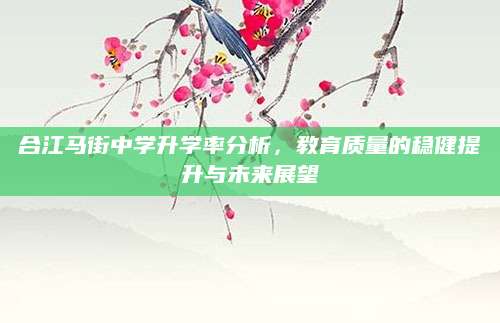 合江马街中学升学率分析，教育质量的稳健提升与未来展望