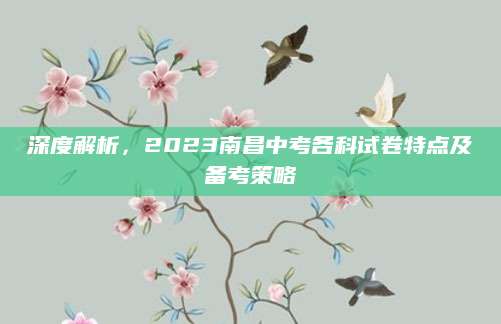 深度解析，2023南昌中考各科试卷特点及备考策略