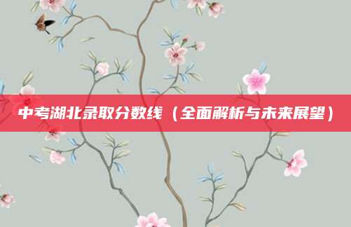 中考湖北录取分数线（全面解析与未来展望）