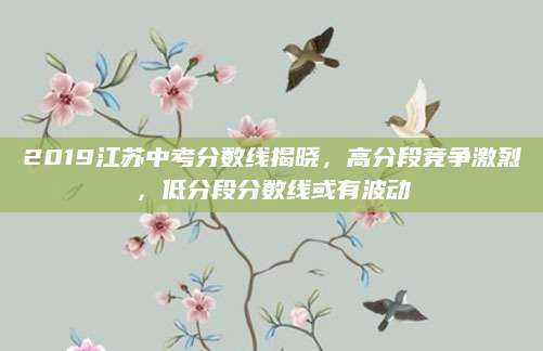 2019江苏中考分数线揭晓，高分段竞争激烈，低分段分数线或有波动