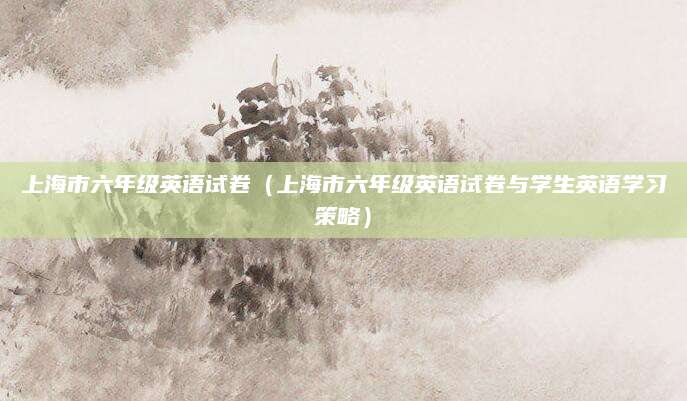 上海市六年级英语试卷（上海市六年级英语试卷与学生英语学习策略）