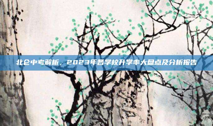 北仑中考解析，2023年各学校升学率大盘点及分析报告