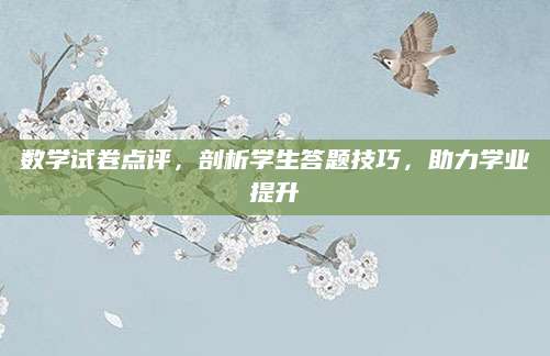 数学试卷点评，剖析学生答题技巧，助力学业提升