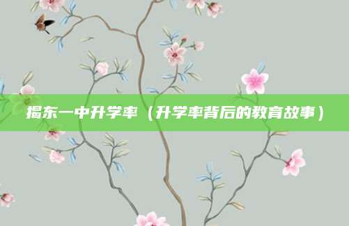 揭东一中升学率（升学率背后的教育故事）