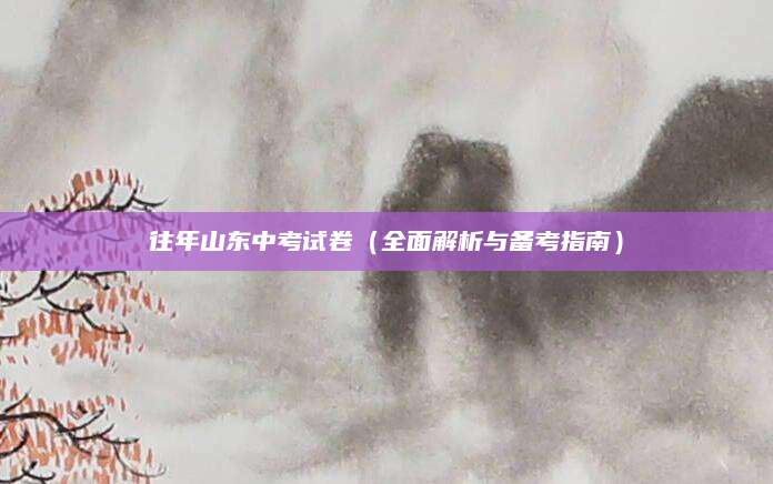 往年山东中考试卷（全面解析与备考指南）