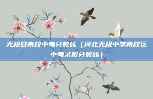 阜阳二中中考录取分擎（阜阳二中2023年中考录取分数线深度解析）