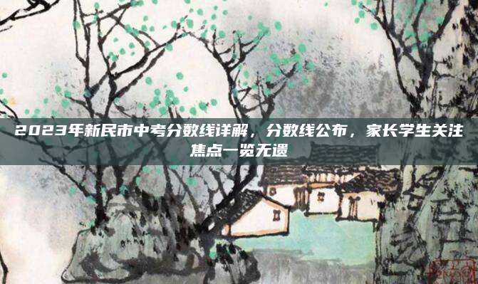 2023年新民市中考分数线详解，分数线公布，家长学生关注焦点一览无遗