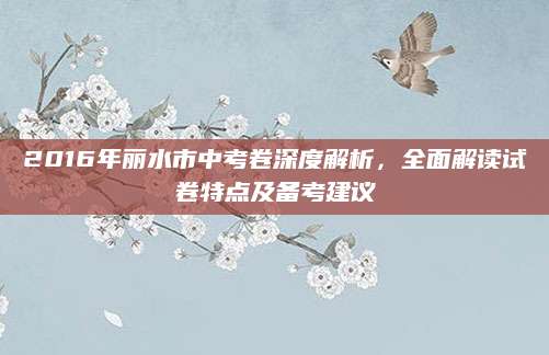 2016年丽水市中考卷深度解析，全面解读试卷特点及备考建议