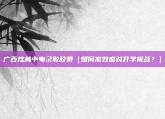广西桂林中考录取政策（如何高效应对升学挑战？）