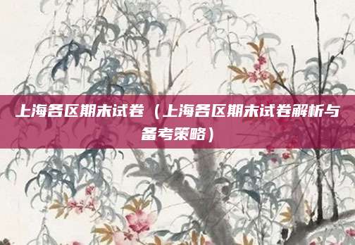 上海各区期末试卷（上海各区期末试卷解析与备考策略）