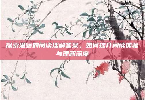 探索温暖的阅读理解答案，如何提升阅读体验与理解深度