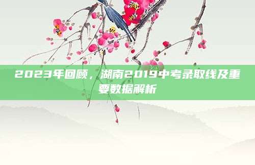 2023年回顾，湖南2019中考录取线及重要数据解析