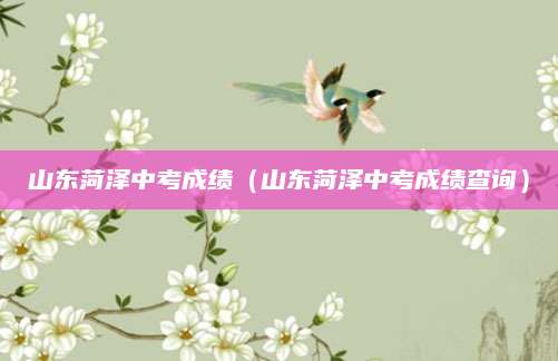 平阳中考数学试卷（平阳中考数学试卷分析及备考策略）