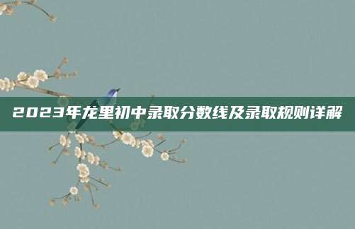 2023年龙里初中录取分数线及录取规则详解