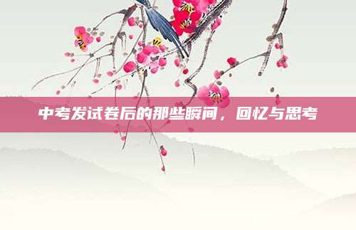中考发试卷后的那些瞬间，回忆与思考