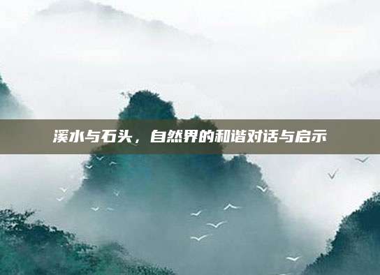 溪水与石头，自然界的和谐对话与启示