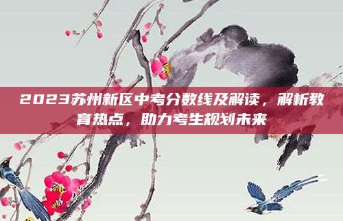 2023苏州新区中考分数线及解读，解析教育热点，助力考生规划未来