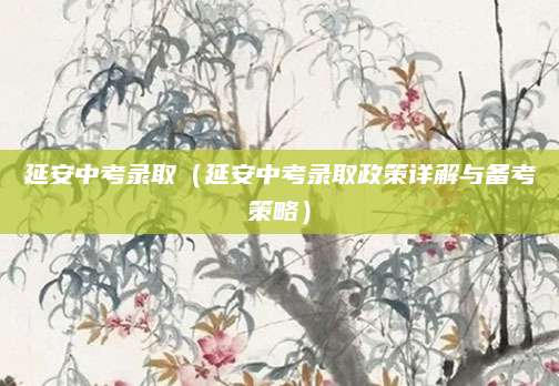 延安中考录取（延安中考录取政策详解与备考策略）