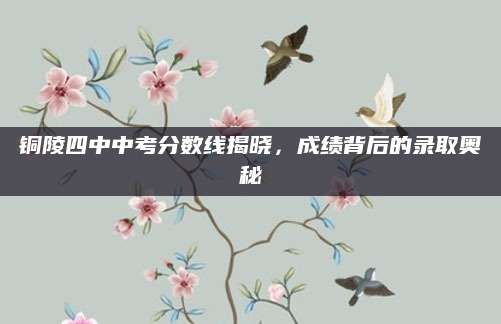 铜陵四中中考分数线揭晓，成绩背后的录取奥秘
