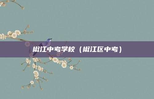 六年级语文试卷特点解析，考察全面，注重能力提升