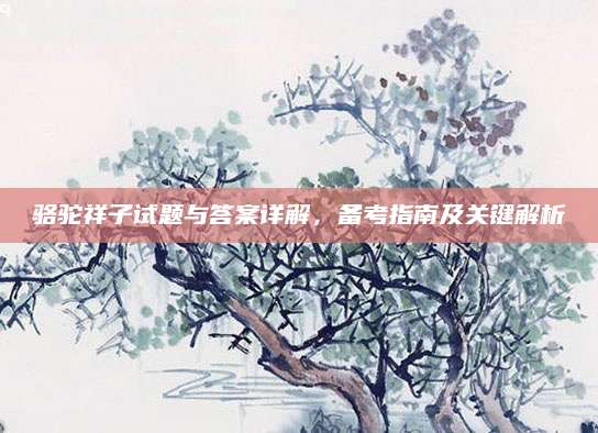 骆驼祥子试题与答案详解，备考指南及关键解析