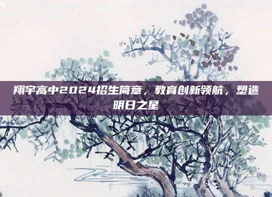 翔宇高中2024招生简章，教育创新领航，塑造明日之星