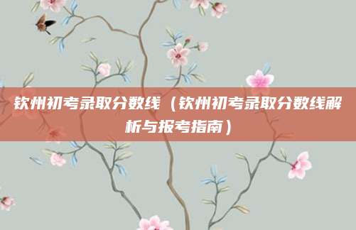 钦州初考录取分数线（钦州初考录取分数线解析与报考指南）