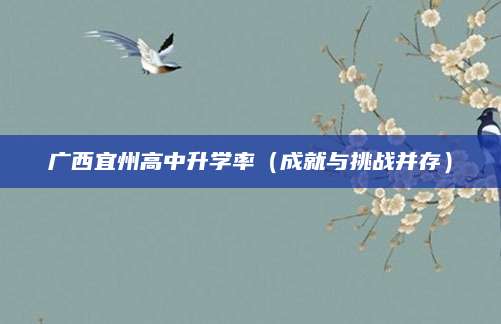 广西宜州高中升学率（成就与挑战并存）