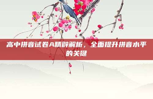 高中拼音试卷A精辟解析，全面提升拼音水平的关键